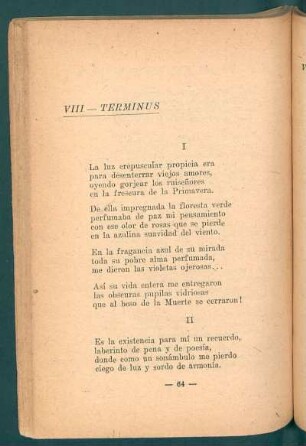VIII - Terminus