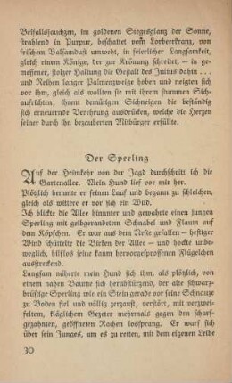 Der Sperling