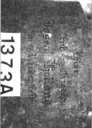 Grabstein 1373 (Index: 99900307) Material: Sandstein Zustand: stark verwittert Maße HxBxT: 155x52x11 cm Beschreibung: aufgesockelte Stele mit eingezogenem Rundbogenabschluss, Einzüge nach außen abgeschrägt, Giebelakroter mit Akanthus, im Bogenfeld Blüte Symbolik: Akanthus, Blüte: Grabstein 1373A
