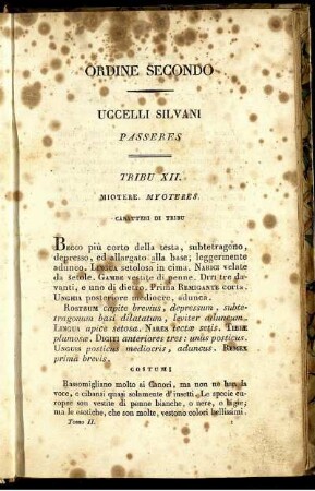 Ordine Secondo Uccelli Silvani Passers