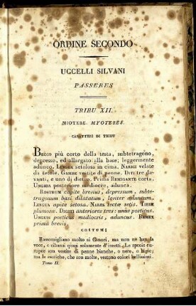 Ordine Secondo Uccelli Silvani Passers