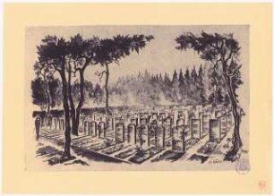 Friedhof: Perspektivische Ansicht Gräberfeld