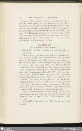 Chapter VII. The Concession Hill Goldfield