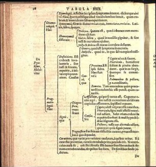 Tabula XXIX.