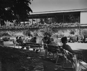 Archivfotografie "neckar_bad-wimpfen_8668"