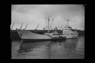 Marie Horn (1959), Horn & Co. K.G., Glückstadt