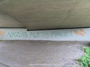 NAZiS AUF'S MAUL!