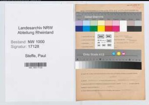 Entnazifizierung Paul Steffe, geb. 02.09.1892 (Kalkulator)