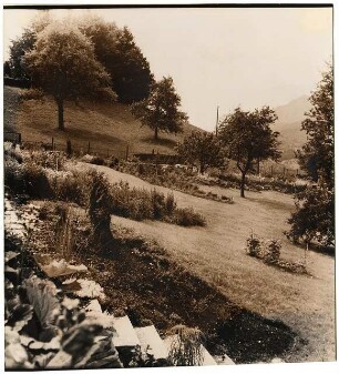 Garten Suidter, Luzern: Blick über Garten