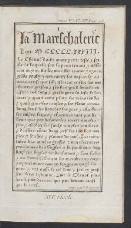Tafel XIV.: XVIe. Siècle.