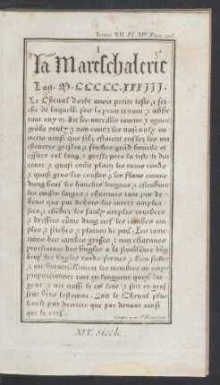 Tafel XIV.: XVIe. Siècle.