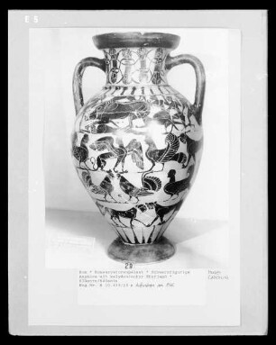 Schwarzfigurige Amphora mit kalydonischer Eberjagd