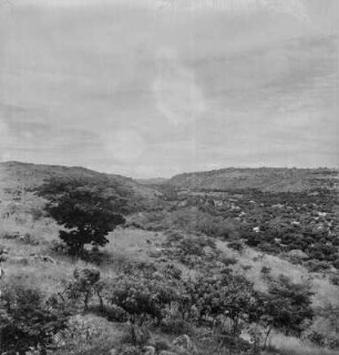 Panoramaaufnahme : Panorama der Stadt Mwanza