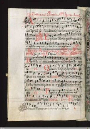 Nachtrag auf Rasur