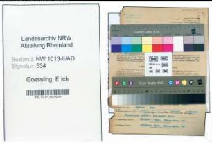 Entnazifizierung Erich Goessling , geb. 22.02.1902 (Vermessungssekretaer)