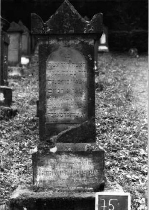 Grabstein 75 (Index: 100090748) Material: Sandstein Zustand: vor allem Sockel stark verwittert Maße HxBxT: 147x54x21 cm Beschreibung: Stele, getreppter Sockel, Giebel mit Eckakroteren, Schrifttafel mit Rundbogen: Grabstein 75
