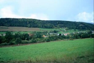 Blick auf das Oberdorf vom Burkhartsbberg Richtung Dorntal