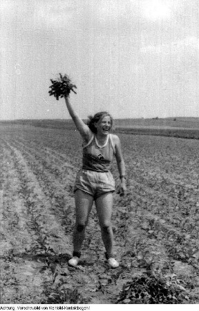 Landwirtschaft, Juni 1953