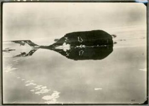 Die Hooker-Insel