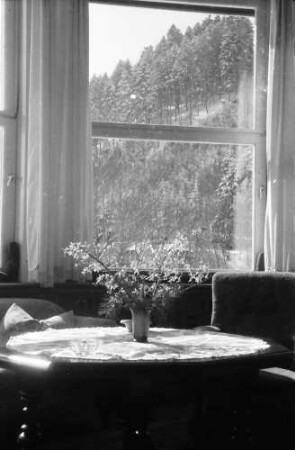 Glotterbad: Salon des Sanatoriums; Fenster mit Blumenvase auf Tisch
