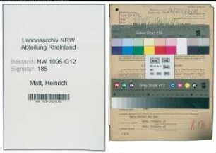 Entnazifizierung Heinrich Matt , geb. 03.06.1897 (Bueroleiter)
