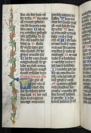 Initiale, Ranke