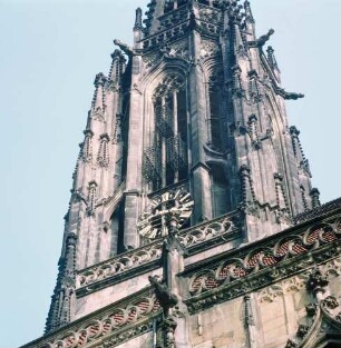Münster. Stadtkirche St. Lamberti. Turm
