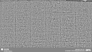 Wasserzeichen S.11_12