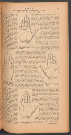 La mano - sus formas, sus líneas y el significado de estas - [Continuación]