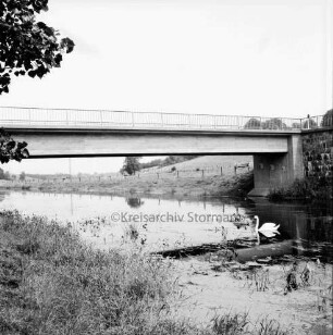 Trave: rechts Schwanenpaar mit Jungen im Wasser: im Hintergrund Brücke zwischen Klein Wesenberg und Groß Wesenberg