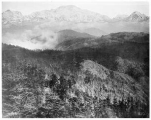 Bei Darjeeling (Indien). Blick zum Kanchenjunga-Massiv
