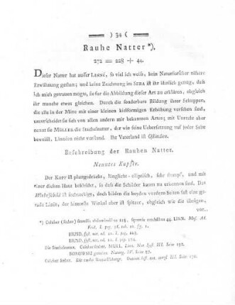 Rauhe Natter