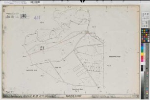 Dackmar (Warendorf), Vohren (Warendorf), Flurbereinigung Dackmar-Vohren, Bl.9 Alter Bestand Dackmar Flur 4
