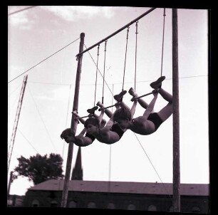 Cimarro-Hochseiltruppe, ohne Ortsangabe, 1949-1954