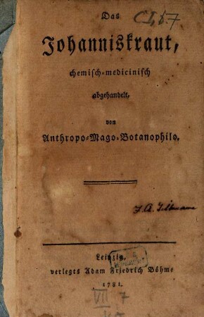 Das Johanniskraut