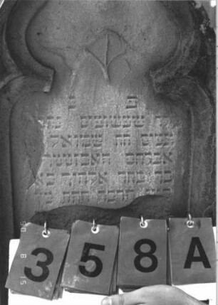 Grabstein 358 (Index: 100106740) Material: Sandstein Zustand: stark verwittert, in Platten abgesprungen, weitgehender Textverlust Maße HxBxT: 99x38x12 cm Beschreibung: Stele mit Spitzbogenabschluß, Schriftfeld eingetieft in Maßwerkform, getreppter Sockel Symbolik: floral Besonderheit: Kindergrab: Grabstein 358A