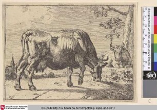 [Grasende Kuh, im Hintergrund eine liegende Kuh an einem Baum; The Grazing Cow]