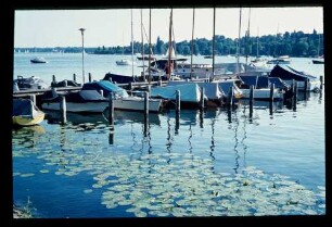 Scharfe Lanke 19.6.70.