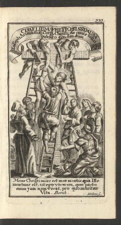 Mors Christi mors est meae mortis, quia Ille mortuus est, ut ego viverem, quo pacto enim jam non vivat, pro quo moritax Vita. Bernh.