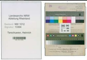Entnazifizierung Heinrich Terschueren , geb. 15.06.1906 (Schlosser)