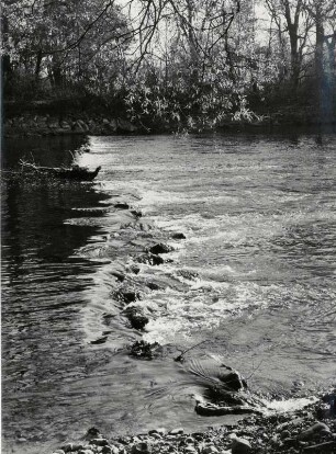 Am Flußufer mit Stromschnellen