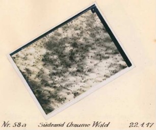 Foto des Geländes am Südrand des Chaume-Waldes (Luftbild)