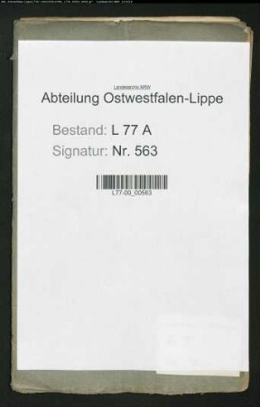 Wahl der Fürstin Pauline zur Lippe zum Bürgermeister der Stadt Lemgo. Handakte der Fürstin Pauline zur Lippe