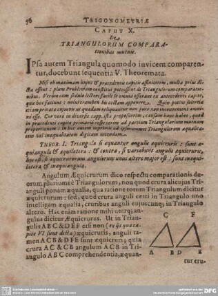 Caput X. De Triangulorum Comparationibus mutuis.