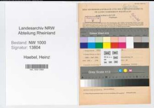 Entnazifizierung Heinz Haebel, geb. 03.06.1915 (Zollinspektor)