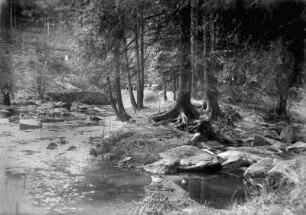Wehranlage an der Preßnitz