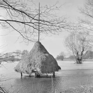 Landschaftsbild. Frühling im Spreewald. Leiper Weg. Heuschober. Die Wiesen sind überschwemmt. : Wobraz krajiny. Nalěćo w Błótach. Puć w Lipjem. Kopjena (Stogi). Łuki su přepławjene.