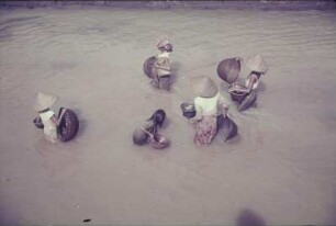 Reisefotos Asien. Frauen und Mädchen mit Körben in einem Gewässer