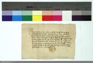 Revers Wenzels von Cleen bezüglich der Belehnung mit dem halben Dorf Dorn-Assenheim durch Johann [von Merlau], Abt von Fulda