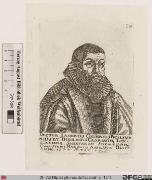 Bildnis Jacob Coler